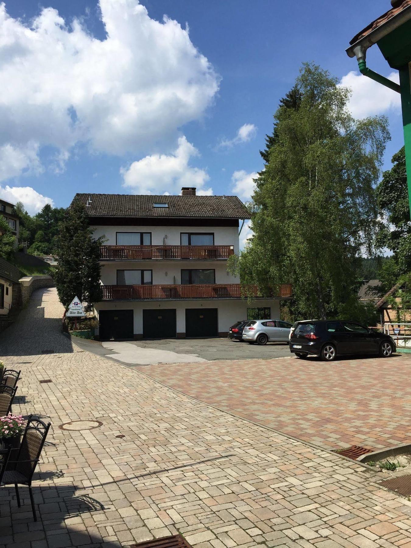 Landhotel Alte Aue Altenau  Luaran gambar